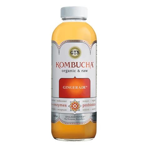 GT'S Enlightened Organic & Raw Kombucha Gingerade, 16 Fl. Oz. - Walmart ...