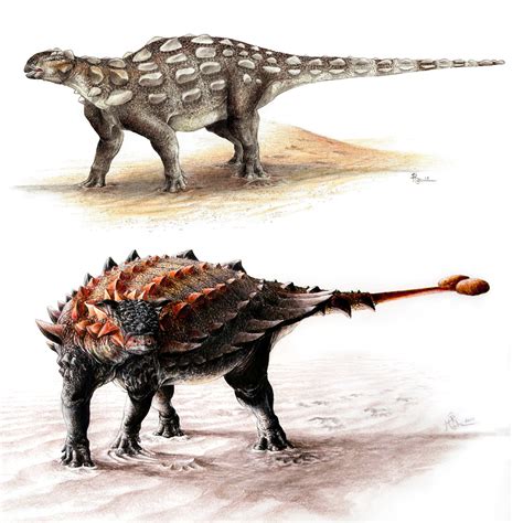 Join the Club – How Ankylosaurs Evolved Their Formidable Tails