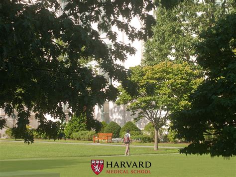 Harvard Wallpapers - Top Free Harvard Backgrounds - WallpaperAccess