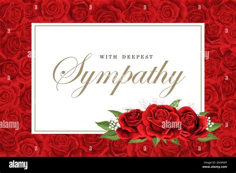 Condolences sympathy card or strict style postcard vector template Stock Vector Image & Art - Alamy