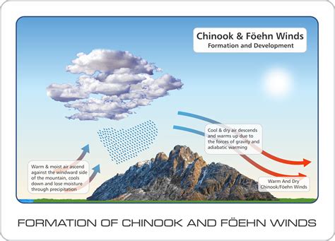 Chinook And Föehn Winds | Chinook wind, Chinook, Precipitation