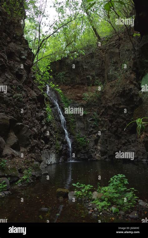 A waterfall inside the cloud forest in the Reserva Natural Miraflor, a ...