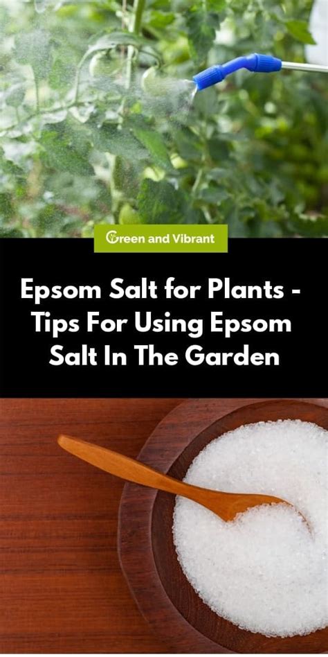 Epsom Salt for Plants - Tips For Using Epsom Salt In The Garden | Trees.com