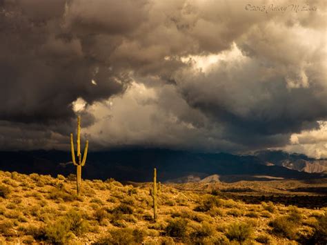 Arizona Desert Storm | Desert vibes, Natural landmarks, Sonoran desert