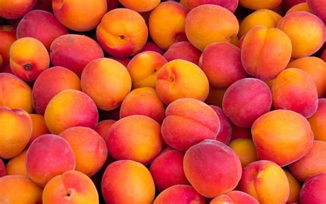 Peaches Wallpapers - Top Free Peaches Backgrounds - WallpaperAccess