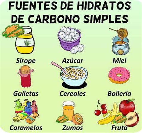 Hidratos de carbono simples – Botanical-online