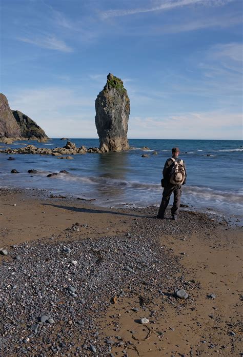 Beaches of the Copper Coast – Coastal life