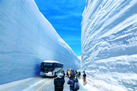 富山の春！今が見ごろ！世界有数の絶景ポイント 雪の大谷ウォーク4月16日（土）からスタート！｜富山県首都圏本部のプレスリリース