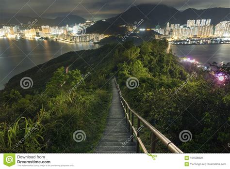 Hiking Wilson Trail in Hong Kong City Stock Image - Image of path, outdoor: 101526609