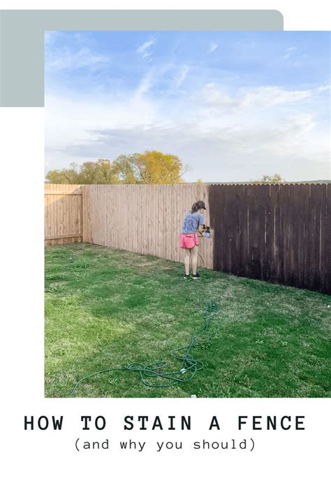 How to Stain a Fence {Using a Sprayer} - Love & Renovations | Using a paint sprayer, Fence stain ...