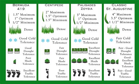 Sod Comparison Chart – Green Escapes Landscape Contractors