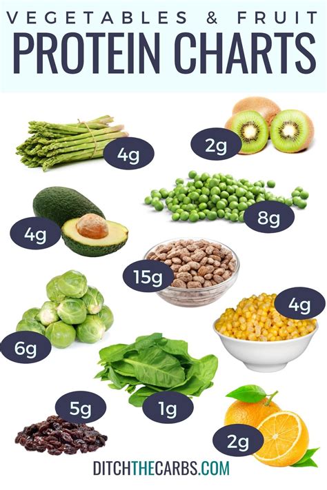 High Protein Vegetables and Fruit (Protein Charts) | High protein ...