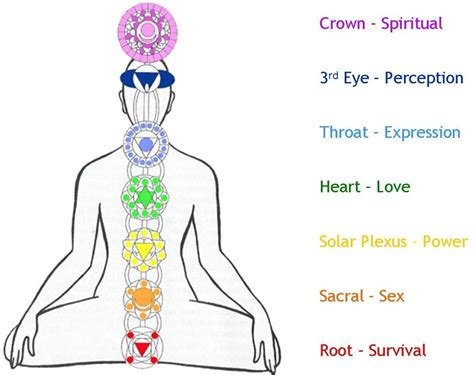 The Human Body Energy Centers – The Seven Chakras | Fit Lotus