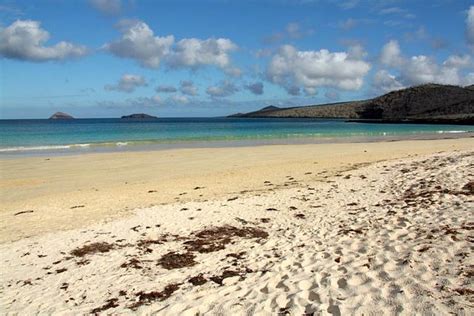 Floreana Island, Galapagos - When to Go, Wildlife, Highlights & More!