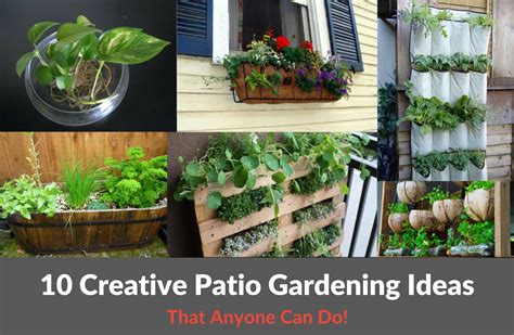 10 Creative Patio Gardening Ideas :: YardYum - Garden Plot Rentals