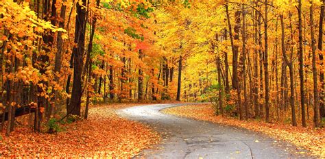 6 Best Fall Foliage Drives in Western Pennsylvania