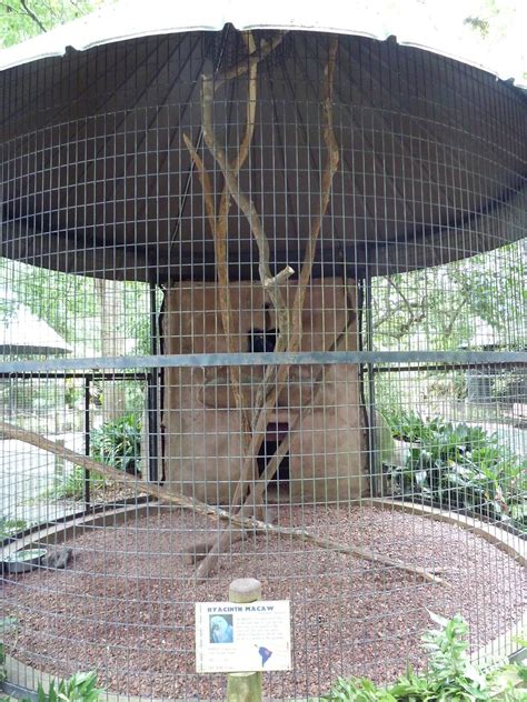 Baton Rouge Zoo - Hyacinth Macaw Corn-Crib Cage - ZooChat