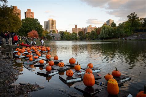 Halloween Festivals 2020 Outside Of Ny | Christmas 2020