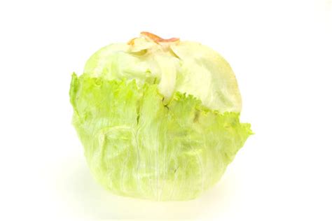 10+ Lechuga Iceberg Stock Photos, Pictures & Royalty-Free Images - iStock