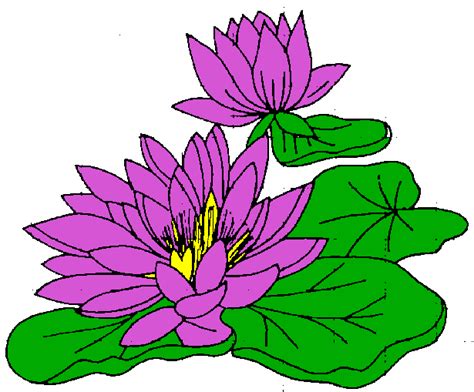 Free Water Lily Clipart, Download Free Water Lily Clipart png images, Free ClipArts on Clipart ...