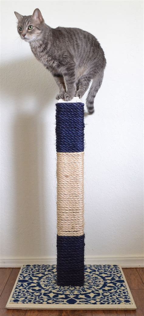 DIY Cat Scratching Post That Literally Lasts for Years! - Dream a Little Bigger