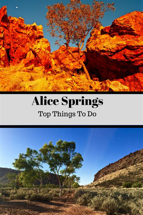 5 Things to do in Alice Springs (With images) | Alice springs