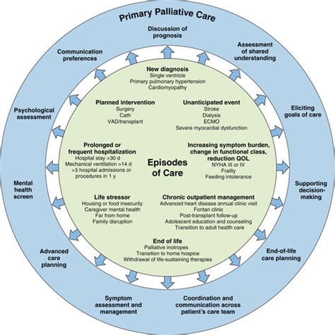 Palliative Care Across the Life Span for Children With Heart Disease: A ...