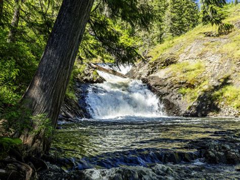 Waterfall in the Forest of Elk River Idaho Stock Photo - Image of ...