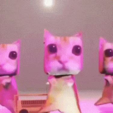 Cats Dancing Cat GIF - Cats Dancing cat Cat dance - Discover & Share GIFs