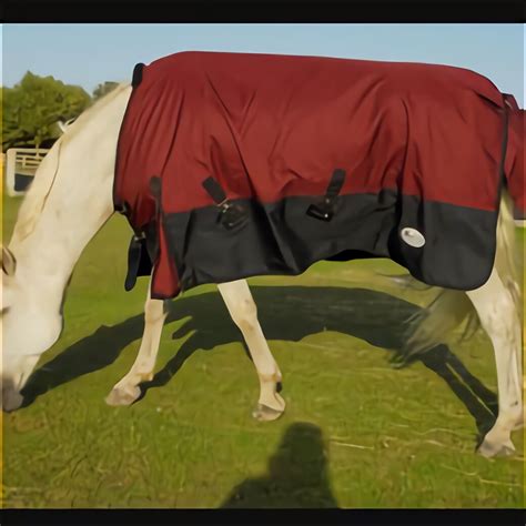 6Ft 3 Turnout Rug for sale in UK | 60 used 6Ft 3 Turnout Rugs