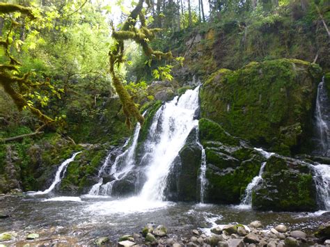 Day Hike - Little Mashel Falls — The Mountaineers