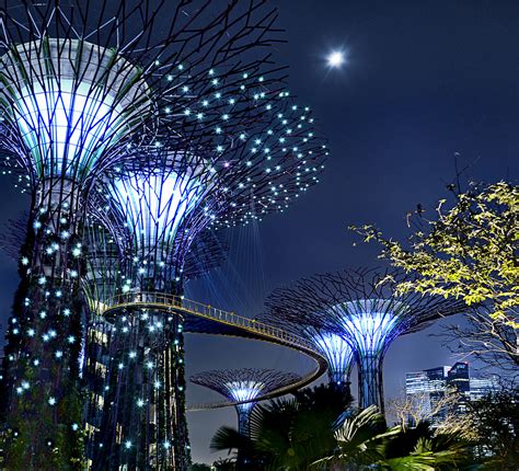 Gardens by the Bay / Grant Associates | ideasgn