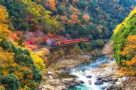 Exploring Arashiyama | A Guide to Kyoto's Bamboo Forest & Monkey Park