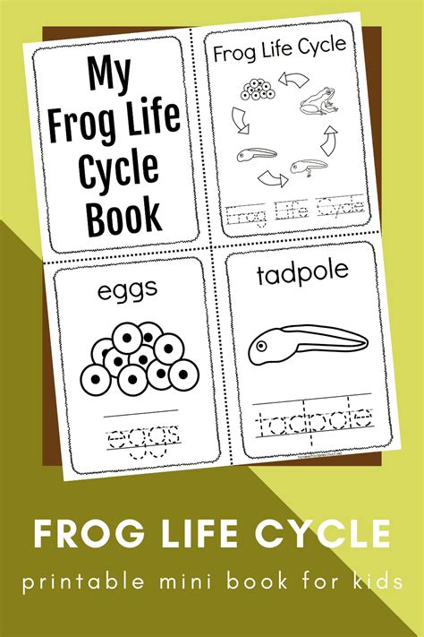 Free Printable Frog Life Cycle Book for Preschoolers