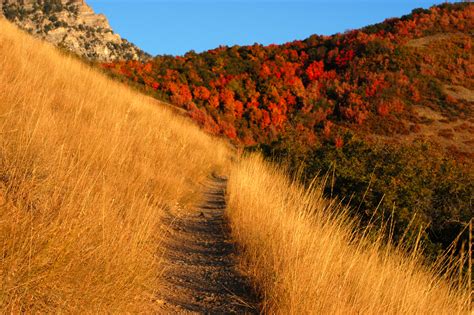 File:Autumn mountain trail.jpg - Wikimedia Commons