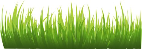 Free Grass Transparent Png, Download Free Grass Transparent Png png ...