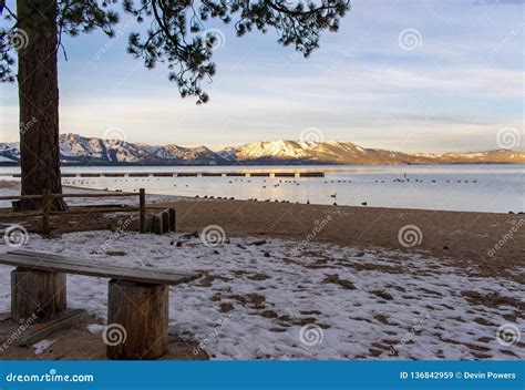 Sunrise at Lake Tahoe stock image. Image of geese, nature - 136842959