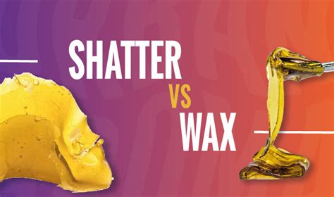 Shatter vs Wax: Cannabis Concentrates 101 | Bongtopia