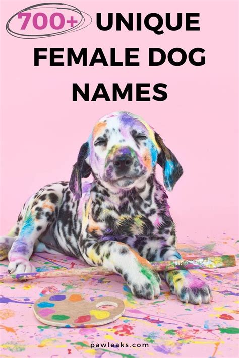 Unique names for girl dogs - plmdirty