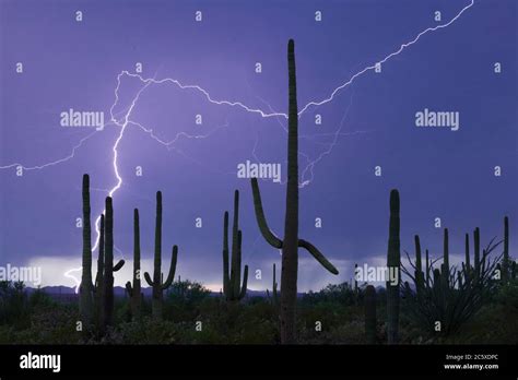 Tucson lightning hi-res stock photography and images - Alamy