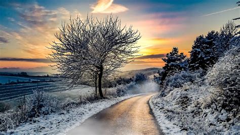 1600x900 Winter Road Snow 1600x900 Resolution HD 4k Wallpapers, Images, Backgrounds, Photos and ...