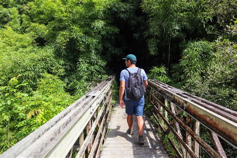 Bamboo Forest Maui Guide: Fun Hike to the Massive 400 Foot Waterfall