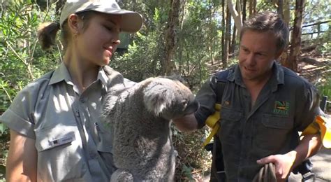 Koala Rescue Australian Reptile Park - YouTube