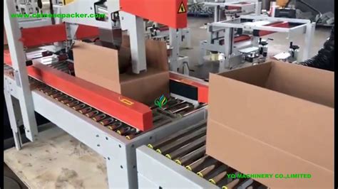 Neat Automatic Carton Packing Machine Stanpac Packaging