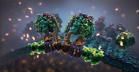 Molecular Animation: Where Cinema and Biology Meet - The New York Times