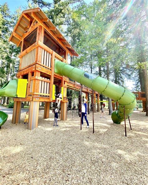 10 Coquitlam Parks To Hike, Spot Wildlife, and Go Picnicking