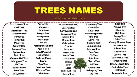 List of Tree Names - Vocabulary Point