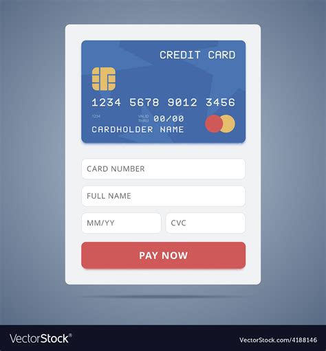 Payment application form with credit card Vector Image