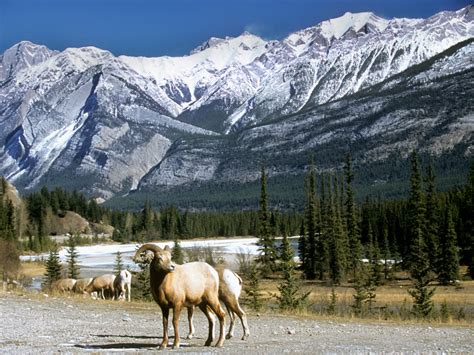 13 Of The Best Nature-Watching Spots In Canada | Chatelaine