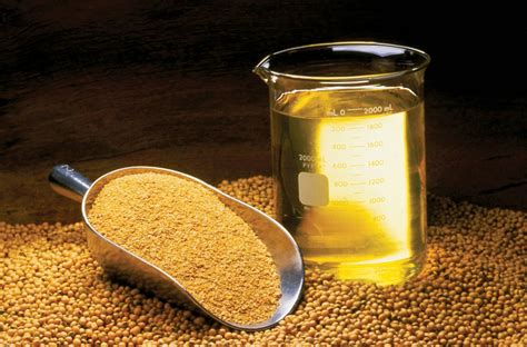 Soybean oil: Grown in the U.S.A. - U.S. Soy